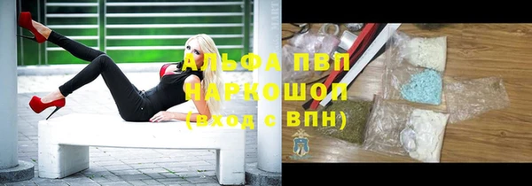 ешки Алексин